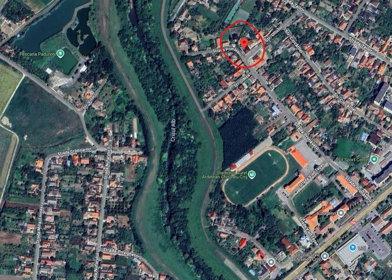 Casă cu 3 camere în Chișineu-Criș