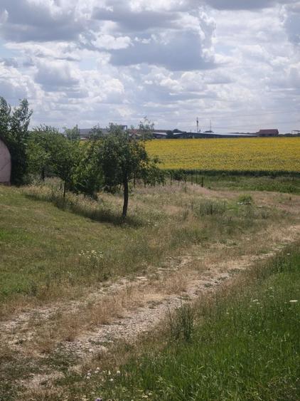 Casă cu 3 camere în Aluniș
