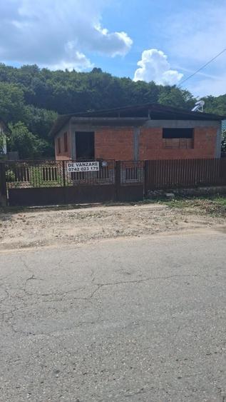 Casă cu 4 camere în Argeșelu
