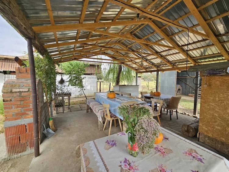 Casă cu 3 camere cu Teren 5587 Mp în Sânpetru Mic