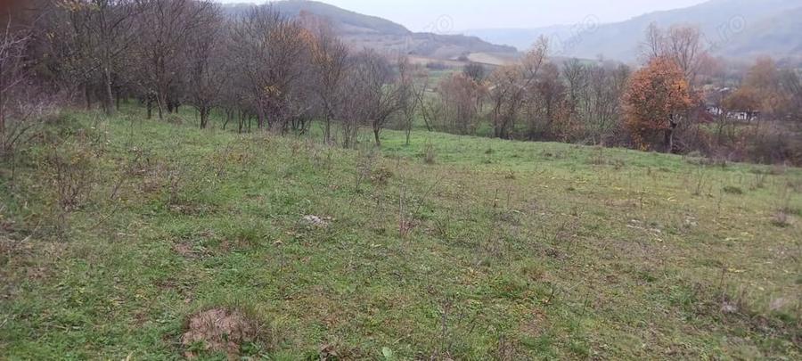 Teren de 7800 mp, în Sântejude