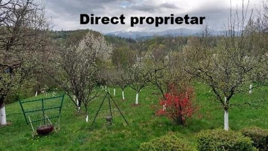 Casă cu 4 camere cu Teren 3300 Mp în Central