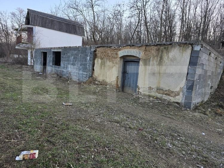 Teren Construcții intravilan de 79000 mp, în Sud