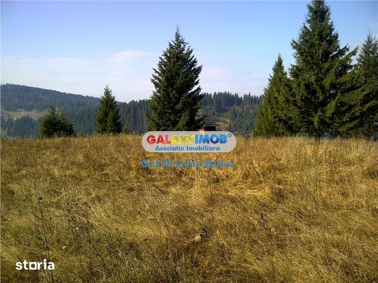 Teren pentru Complex Turistic - 12 730 mp - Vatra Dornei - 3