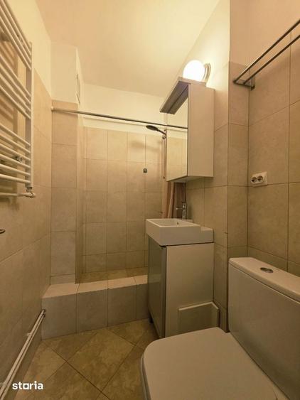Apartament 3 camere de inchiriat Bd. Toamnei-Centru Civic Pet friendly - 14