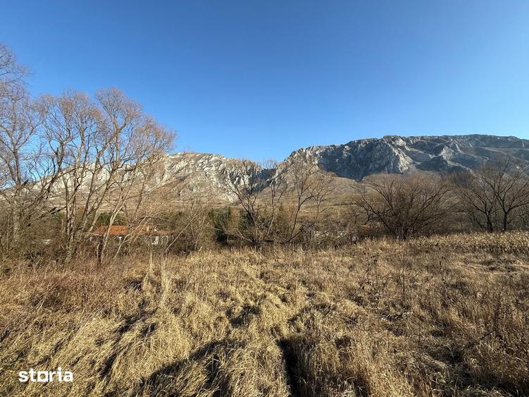 Teren de 1250 mp, în Râmeț