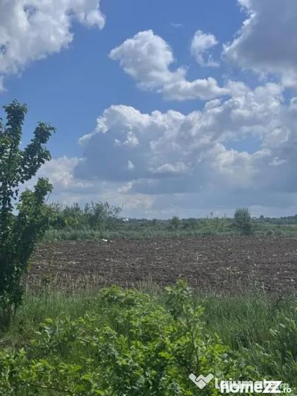 Teren de 7800 mp, în Rădăuți