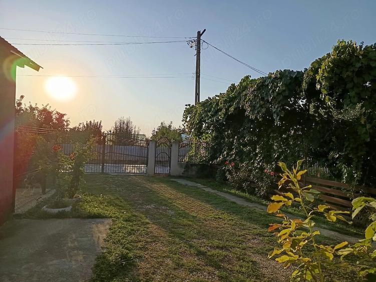 Casă cu 3 camere cu Teren 2200 Mp în Broșteni (Vișina)