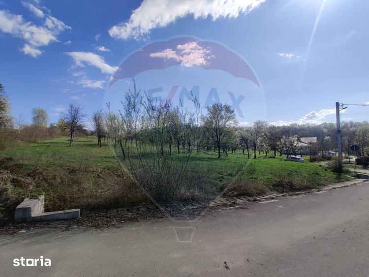 Teren de 1778 mp, în Dumbrăvița