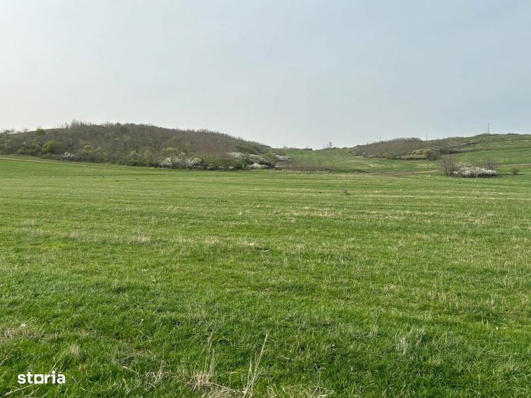 Teren de vanzare, zona Drotleff, 689 mp - 3