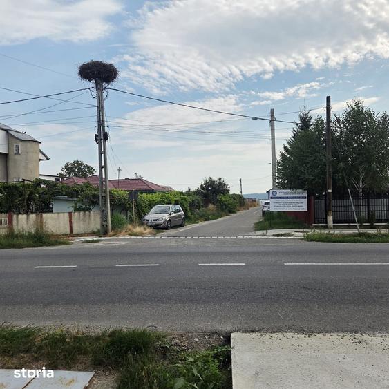 Teren de 4000 mp, în Letea Veche