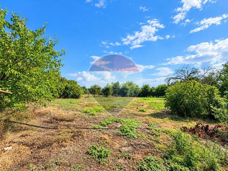 | Casă 3 camere | teren 2800 mp |  Judetul Dambovita | - 9