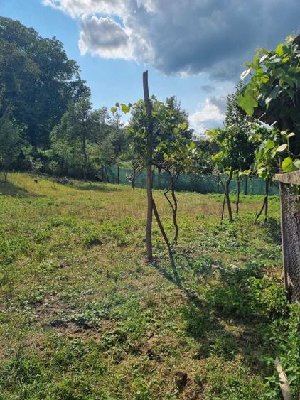 Casă cu 4 camere în Șirioara