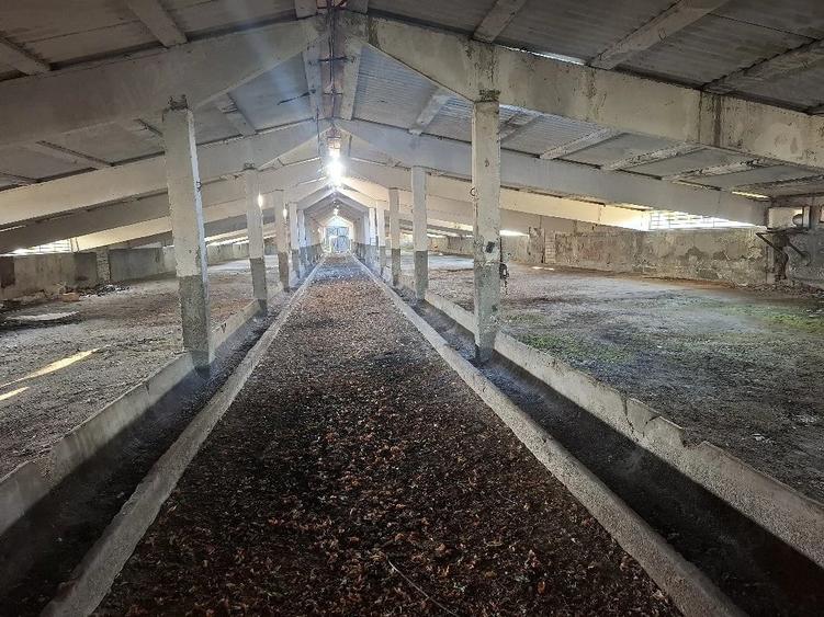 Teren de 5000 mp, în Terpezița