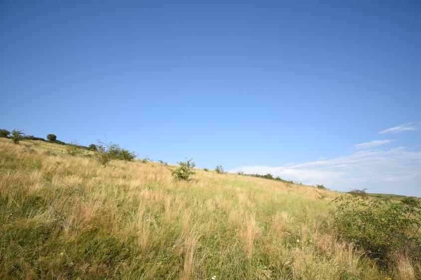 Teren agricol extravilan de 16800 mp, în Chinteni