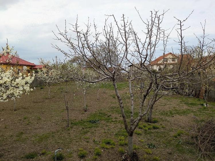 Teren de 845 mp, în Oreavul