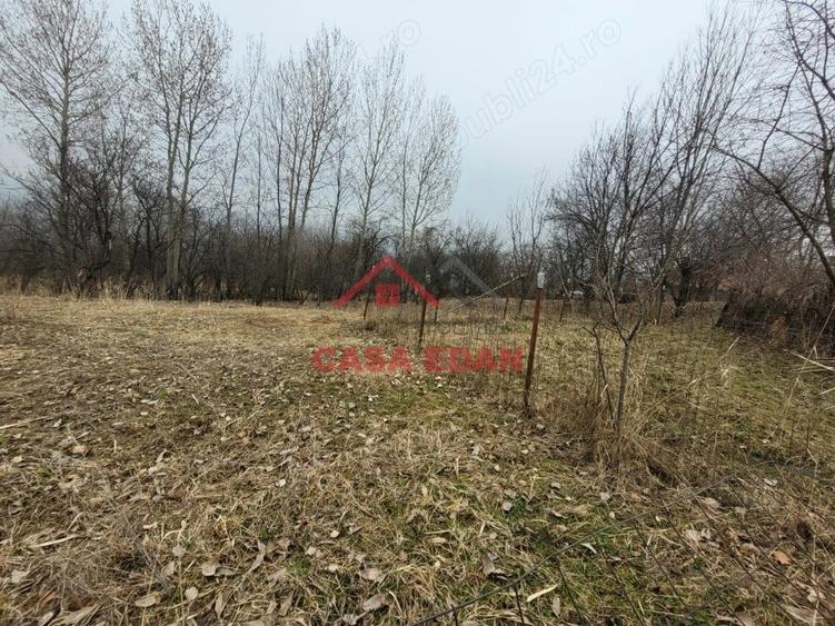 Casă cu Teren 1358 Mp în Gura Beliei