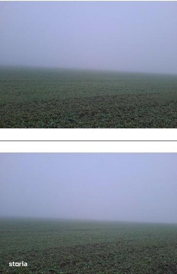 Teren de 4040 mp, în Troianul