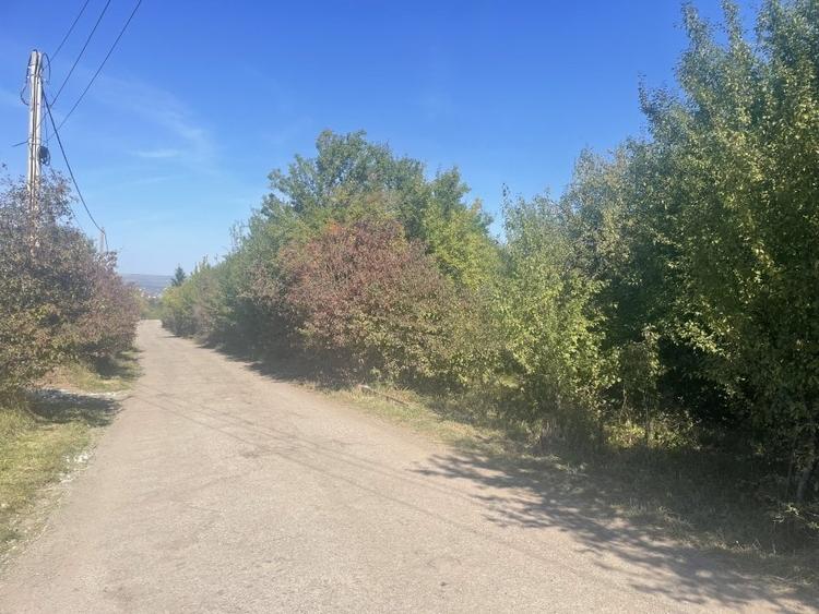 Teren Construcții intravilan de 15046 mp, în Bună Ziua