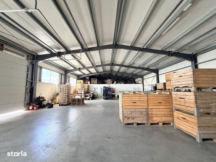 Spațiu comercial, de 10,000 mp, în Horia