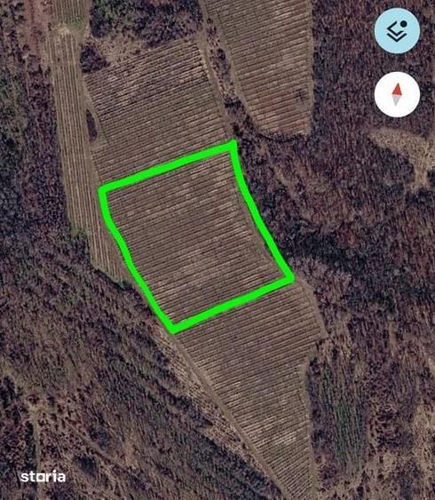 Teren de 22000 mp, în Plopu