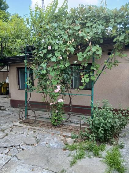 Casă cu Teren 248 Mp în Andronache