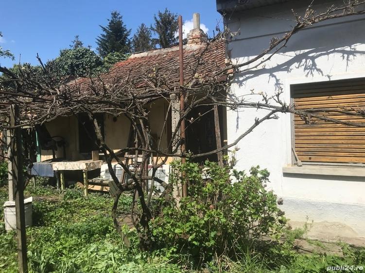 Teren de 719 mp, în Fratelia