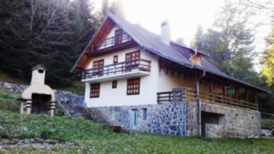 Casă individuală cu 5 camere cu Teren 3884 Mp în Plaiul Foii