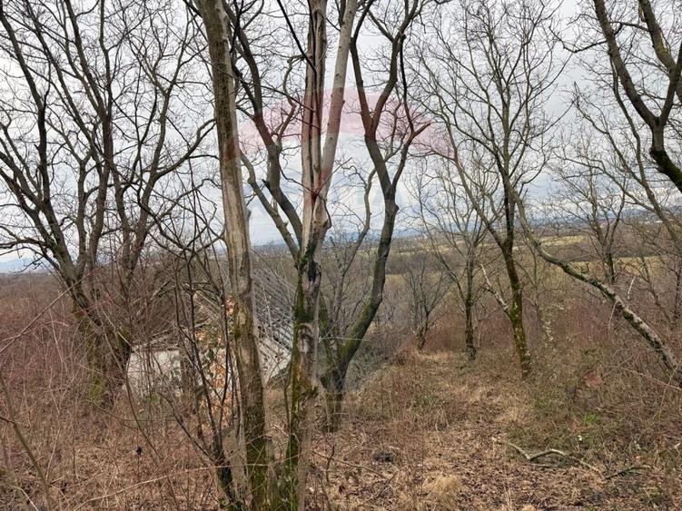 Teren agricol extravilan de 2900 mp, în Independenței