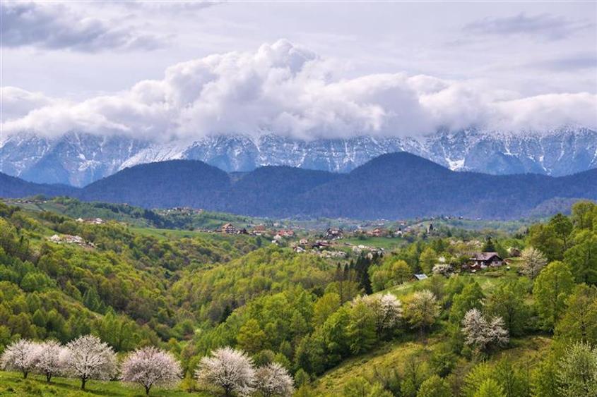 Teren Construcții intravilan de 6966 mp, în Bran
