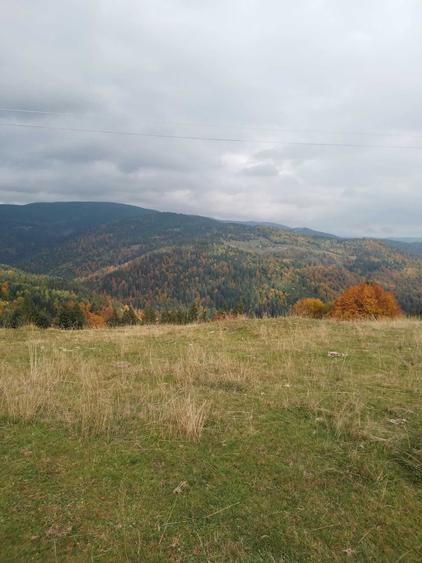 Teren de 60000 mp, în Vadu Moților