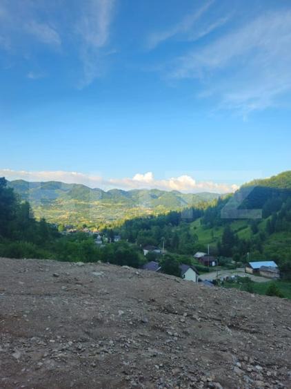 Teren Construcții intravilan de 10000 mp, în Est