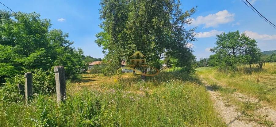 Teren de 1285 mp, în Pârvulești