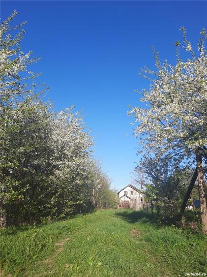 Teren în Central