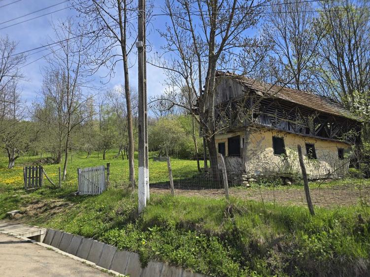 Spațiu comercial, în Aluniș