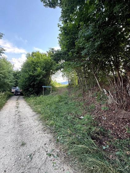 Teren de 11600 mp, în Poiana Mărului