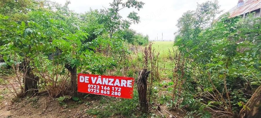 Teren de 5000 mp, în Vest
