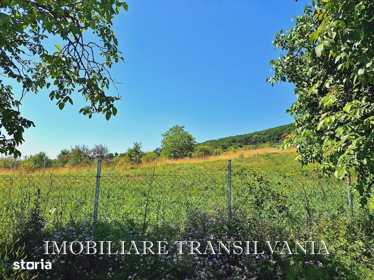 Teren de 1000 mp, în Central