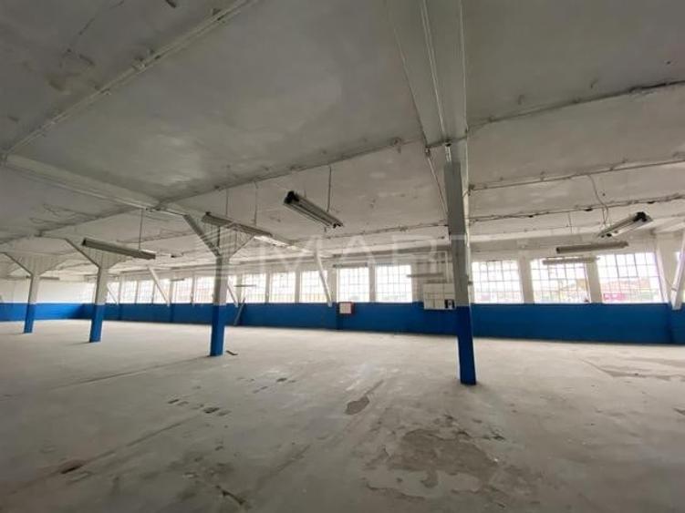 Spațiu industrial, de 120 mp, în Cisnădie