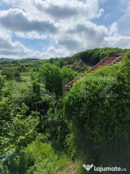 Casă cu 3 camere cu Teren 1500 Mp în Gemenea-Brătulești