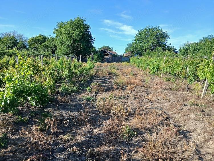 Teren de 2000 mp, în Bolotești