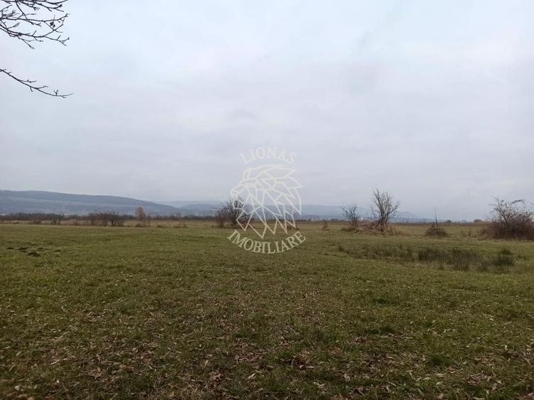 Teren agricol extravilan de 19611 mp, în Livezile