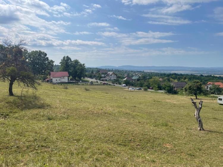 Teren Construcții intravilan de 11700 mp, în Baia Sprie