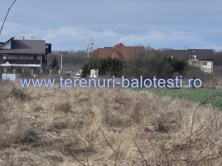 Teren cu gaz si electrica-hotar, 28000 E, padure - 8