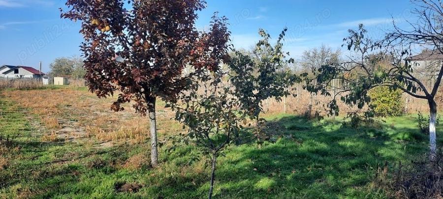 Teren de 1500 mp, în Vânători