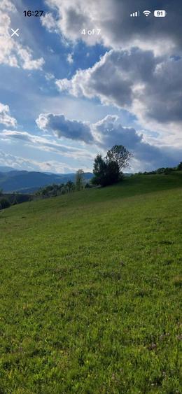 Teren de 2000 mp, în Runc (Vidra)