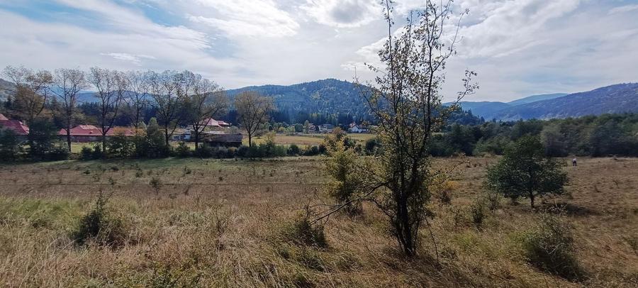 Teren Construcții intravilan de 20000 mp, în Brădet