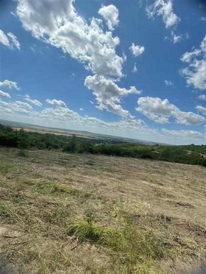Teren Construcții intravilan de 1675 mp, în Podgoria
