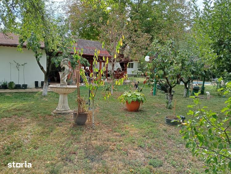 Casă cu 5 camere cu Teren 3053 Mp în Gruiu