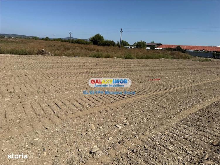 Teren de 2960 mp, în Lipănești